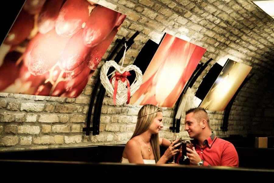 Borozó és pincészet